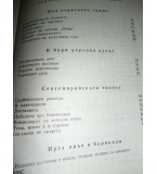 Димитровски комсомол - Филип Панайотов, Стамен Мирчев