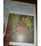 Рыбы в аквариуме -В. Д. Радзимовский, О. А. Соколов, С. Н. Земсков , Аквариумни риби
