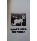 Балканска жепопея. Повести  - Мирон Иванов