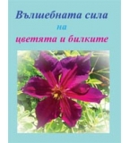 Вълшебната сила на цветята и билките